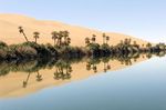 Mirage-plein-desert-281856