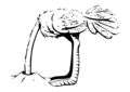 Autruche