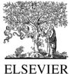 ELSEVIER