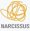 Narcissus