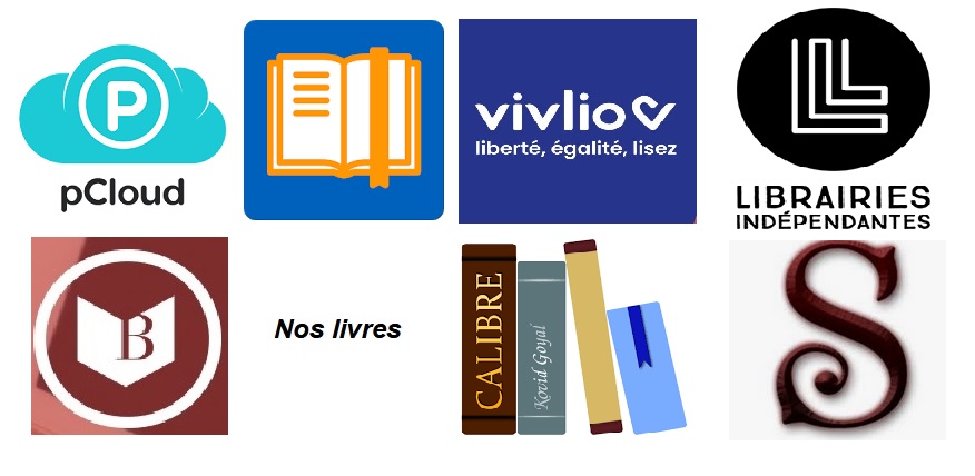 Loisirs audio : lire un epub ou livre au format Daizy sur tablette ou  smartphone - Nouvelles Technologies & Handicap