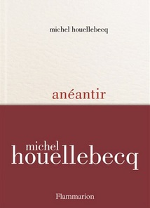 Aneantir